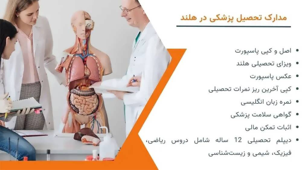 مدارک لازم برای تحصیل پزشکی در هلند