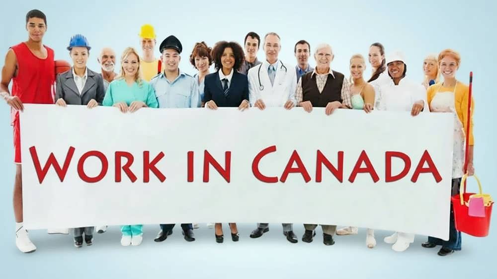بنر کار در کانادا