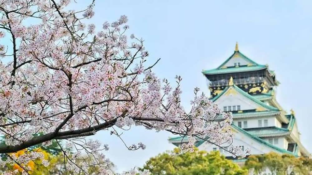 ویزای تحصیلی ژاپن و مدارک اقامتی مرتبط