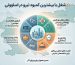 اینفوگرافیک مشاغل مورد نیاز اسلوونی شامل IT، مهندسی، درمان و گردشگری برای متقاضیان کار در اروپا.